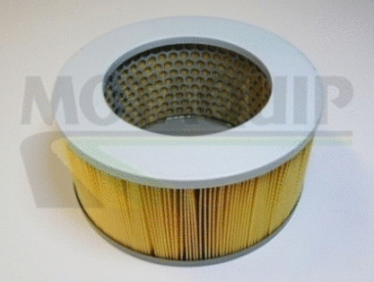 Air Filter (VFA692)