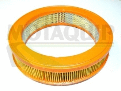 Air Filter (VFA661)