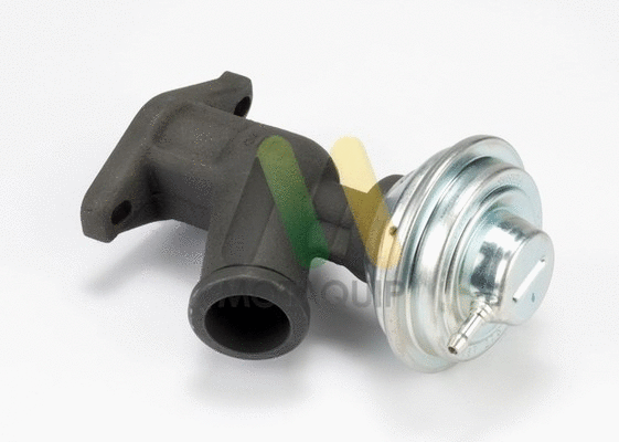 EGR Valve (LVER267)