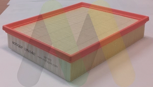 Air Filter (LVFA1461)