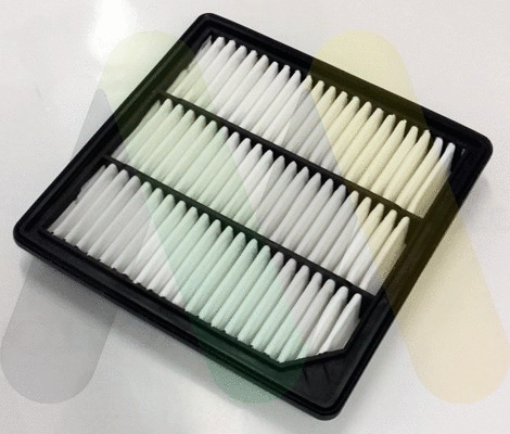 Air Filter (LVFA1645)