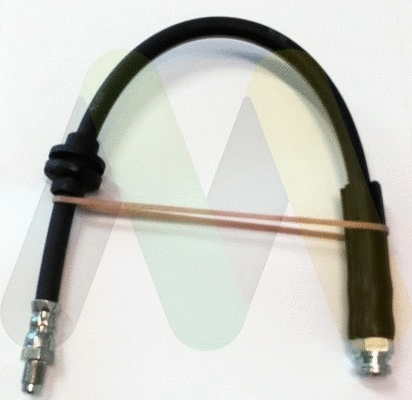 Brake Hose (LVBH1699)