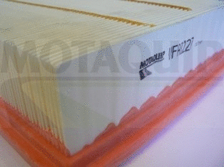 Air Filter (VFA1227)