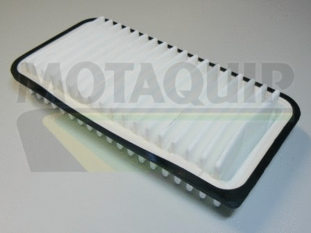 Air Filter (VFA1055)