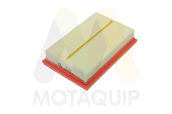 Air Filter (LVFA1539)