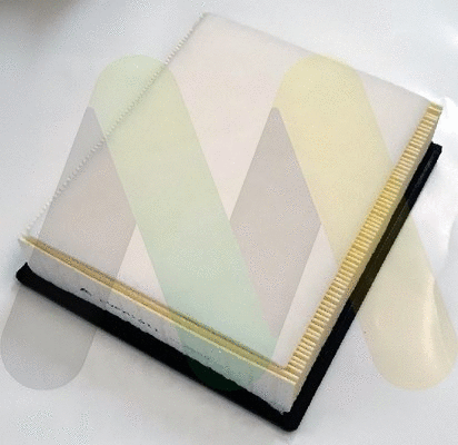 Air Filter (LVFA1611)