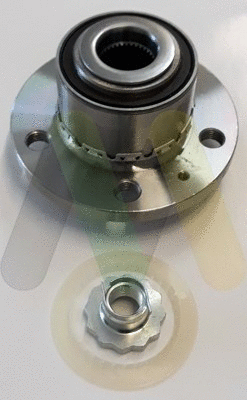 Wheel Bearing Kit (LVBW1663)