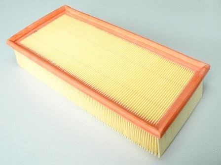 Air Filter (VFA901)