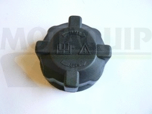 Cap, coolant tank
