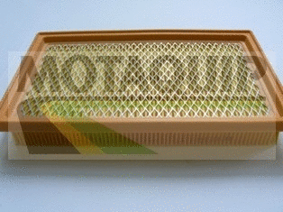 Air Filter (VFA1192)