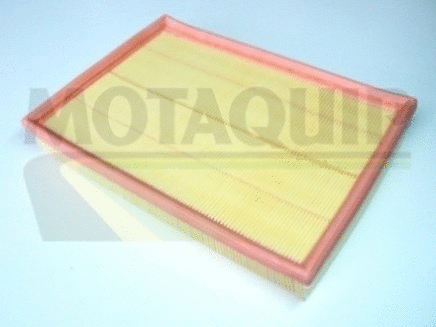 Air Filter (VFA55)