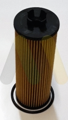 Oil Filter (LVFL856)