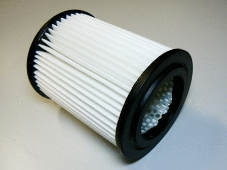 Air Filter (VFA1006)