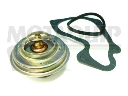 Thermostat, coolant (VTK28)
