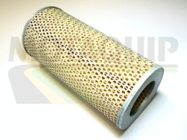 Air Filter (VFA813)