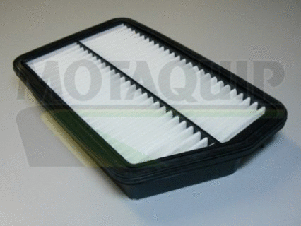 Air Filter (VFA1047)