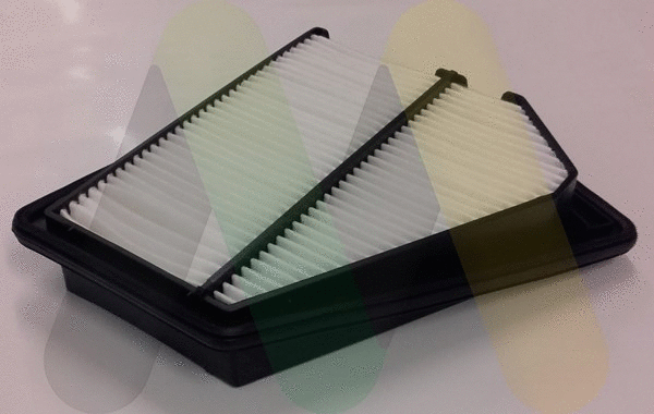 Air Filter (LVFA1553)