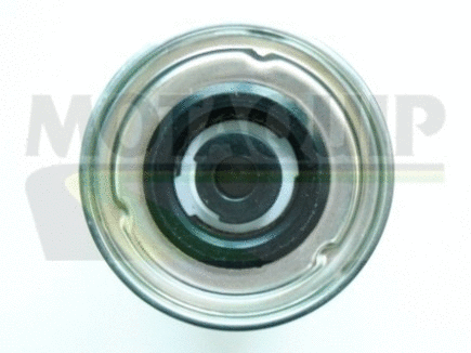 Fuel Filter (VFF348)