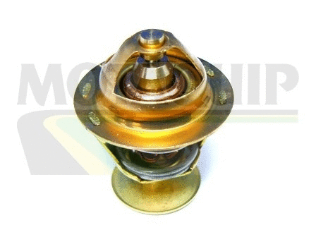 Thermostat, coolant (VTS239)