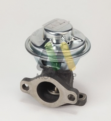 EGR Valve (LVER316)