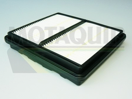 Air Filter (VFA673)