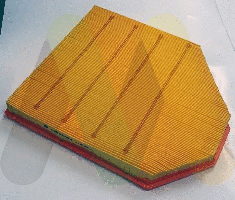 Air Filter (LVFA1604)