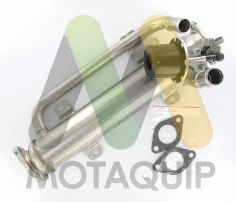 Cooler, exhaust gas recirculation (LVER387)