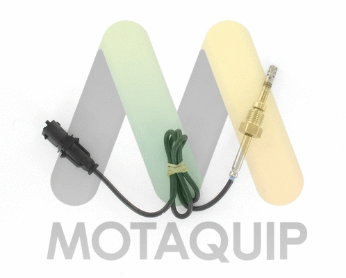 Sensor, exhaust gas temperature (LVET344)