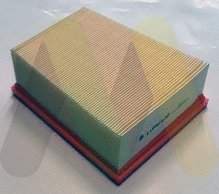 Air Filter (LVFA1630)