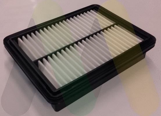 Air Filter (LVFA1557)