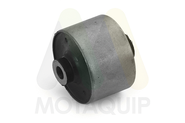 Bushing, axle beam (LVSK1265)