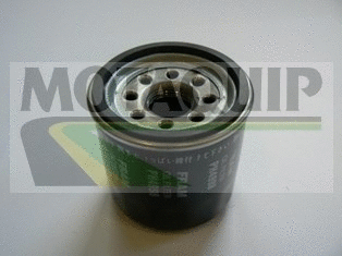 Oil Filter (VFL305)