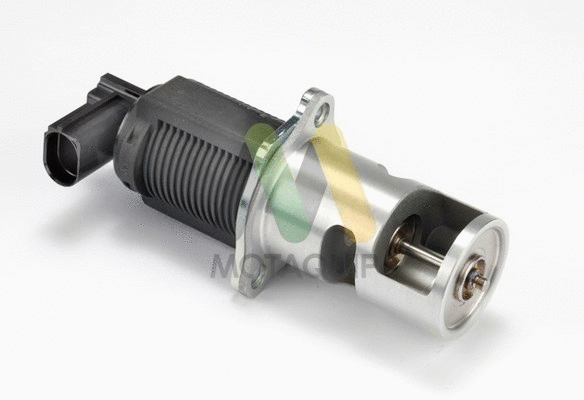 EGR Valve (LVER182)
