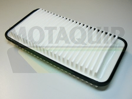 Air Filter (VFA1065)