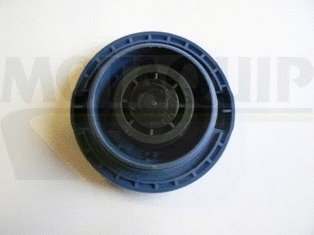 Cap, coolant tank (VCR250)