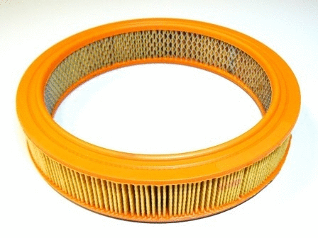Air Filter (VFA276)