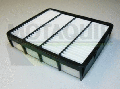 Air Filter (VFA807)