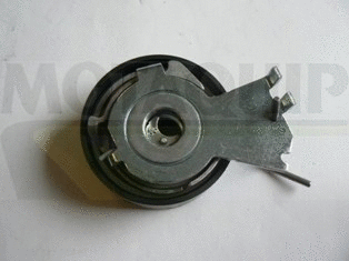 Timing Belt Kit (LVTT294)