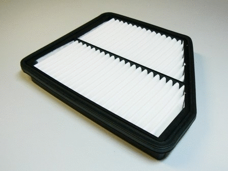 Air Filter (VFA1120)