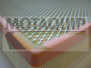 Air Filter (VFA1146)