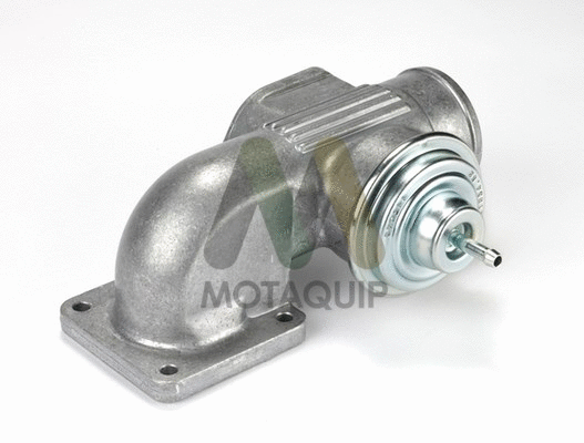 EGR Valve (LVER203)