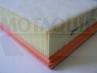 Air Filter (VFA1228)