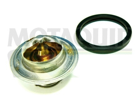Thermostat, coolant (VTK39)
