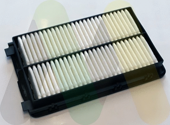 Air Filter (LVFA1670)