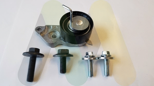 Timing Belt Kit (LVTT338)