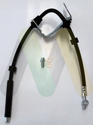 Brake Hose (LVBH1732)