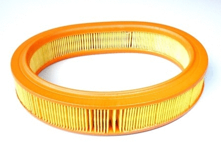 Air Filter (VFA479)