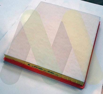 Air Filter (LVFA1638)