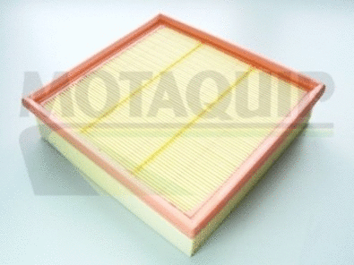 Air Filter (VFA670)