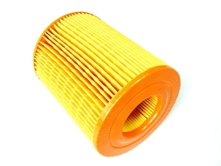 Air Filter (VFA841)